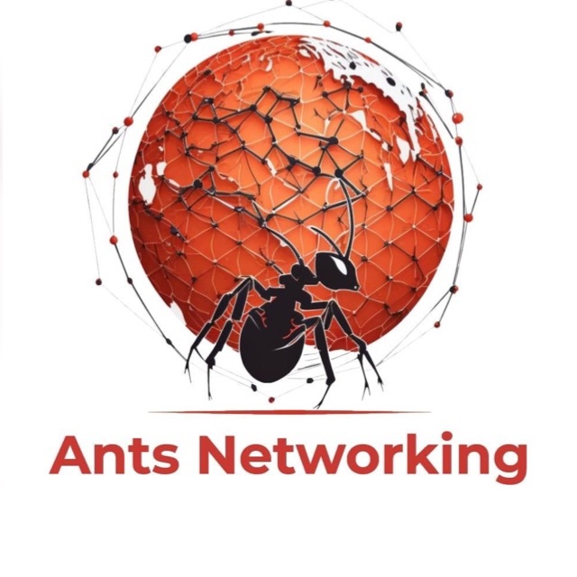 Ants Networking